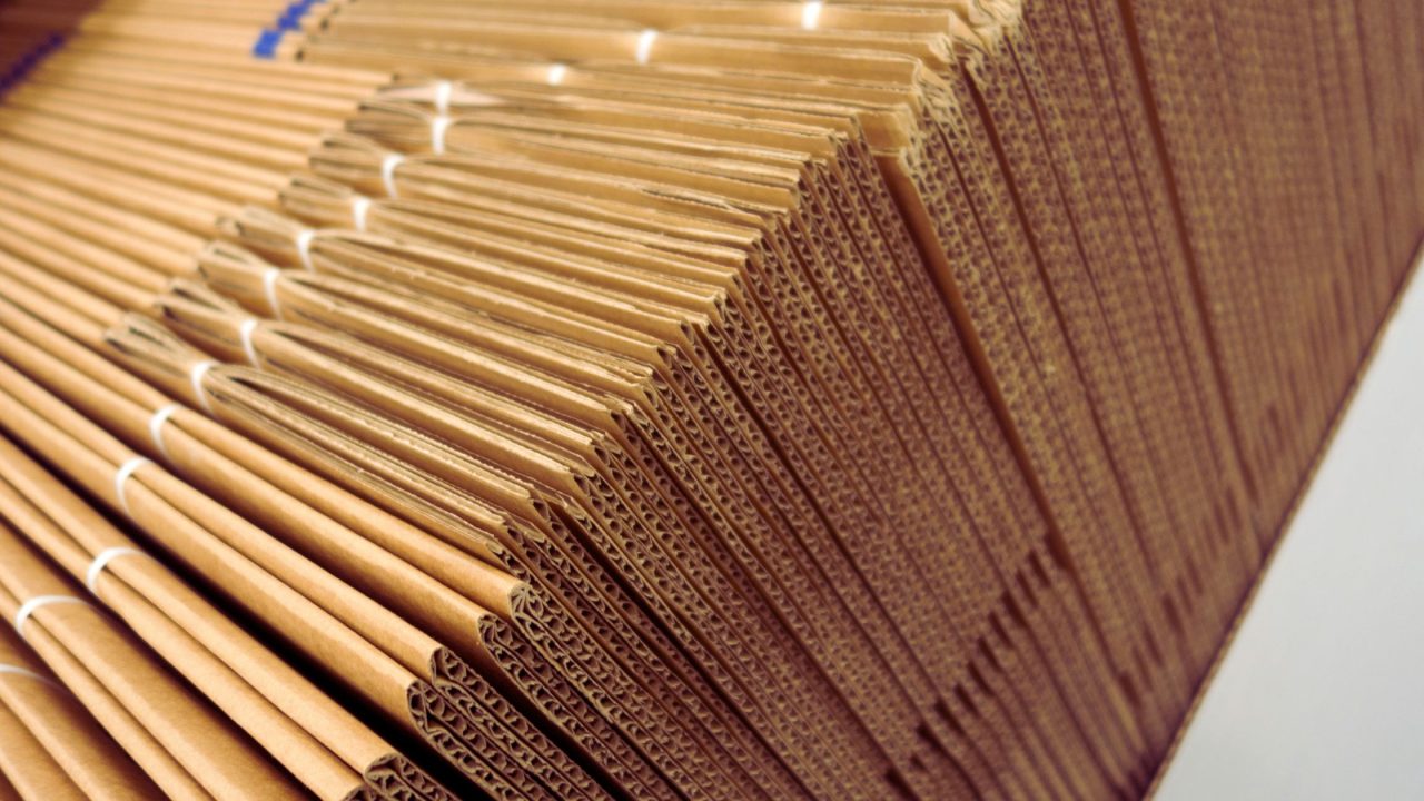 ダンボール　陳列