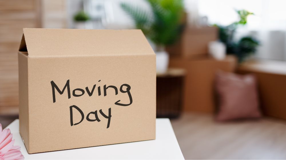 引越し　ダンボール