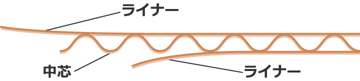 ダンボールの断面図 ライナーと中芯