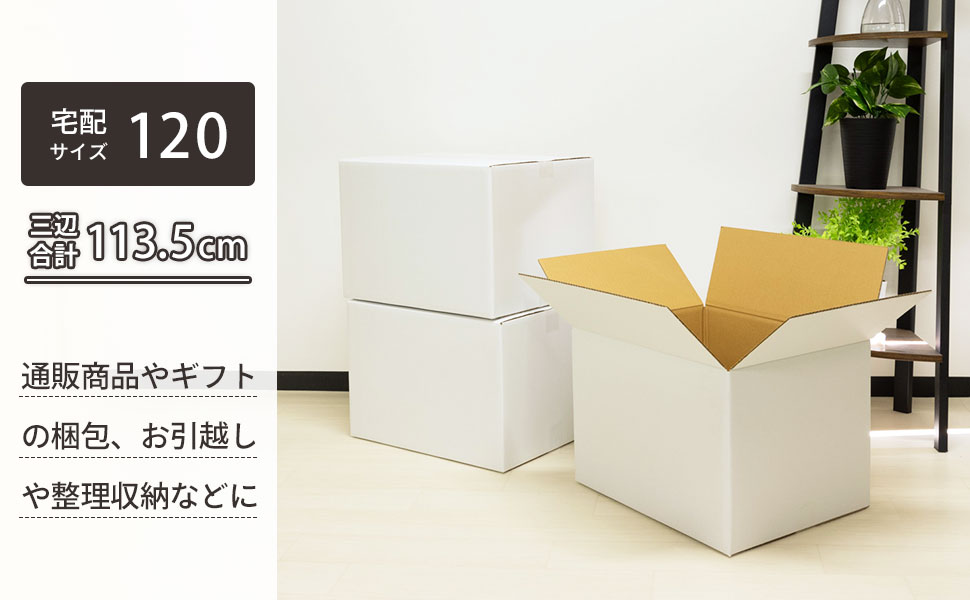 見栄えのする白色が受け取り手に好印象。宅配120サイズ対応の白ダンボール。