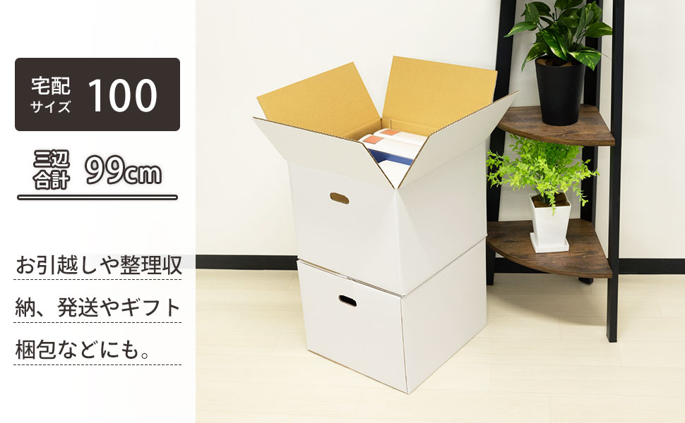 清潔感がありすっきりとした印象の、宅配100サイズ対応取っ手穴付き白ダンボール。