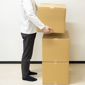 大きすぎず運びやすい、理想的な中間サイズ